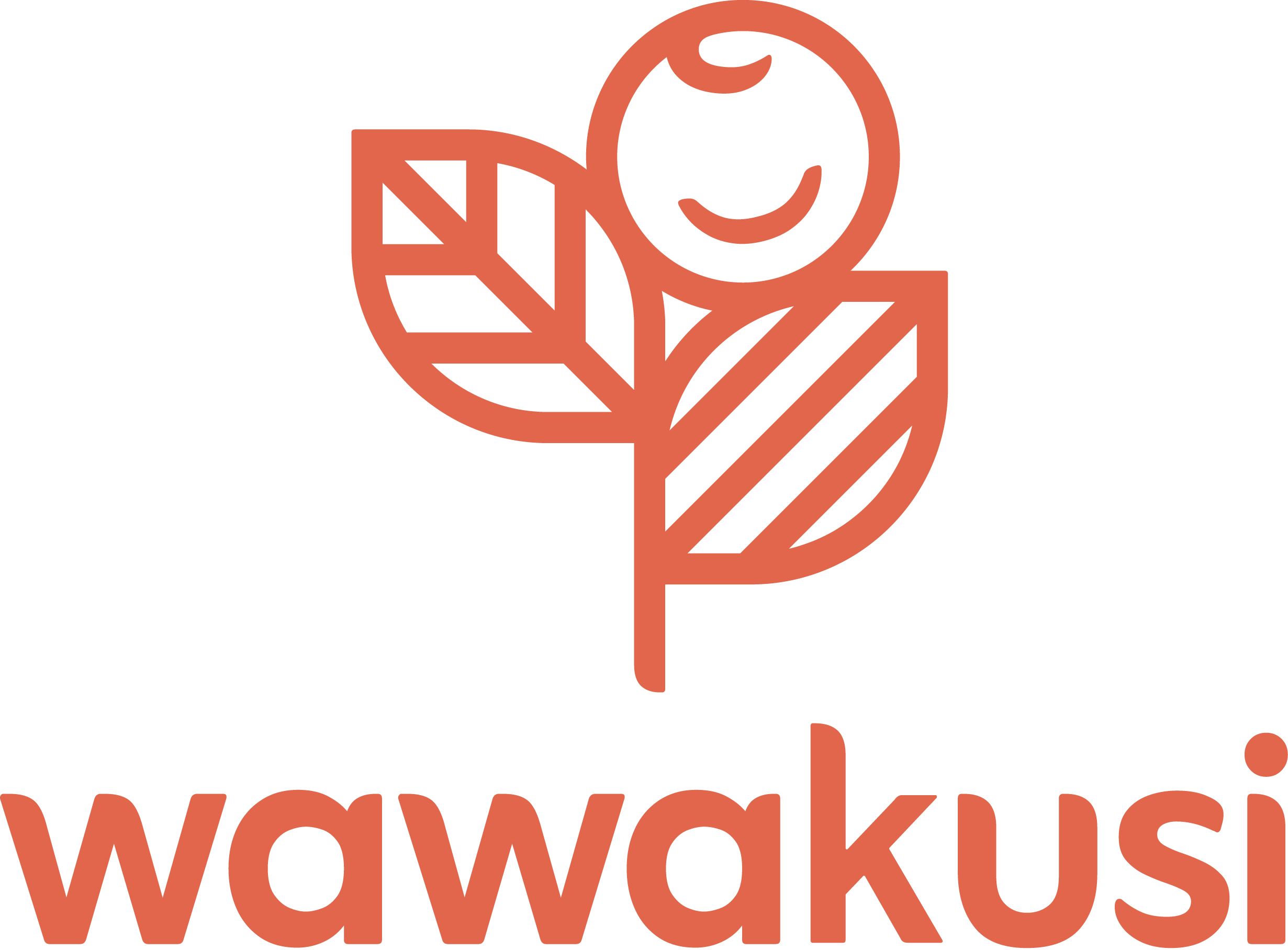 Wawakusi